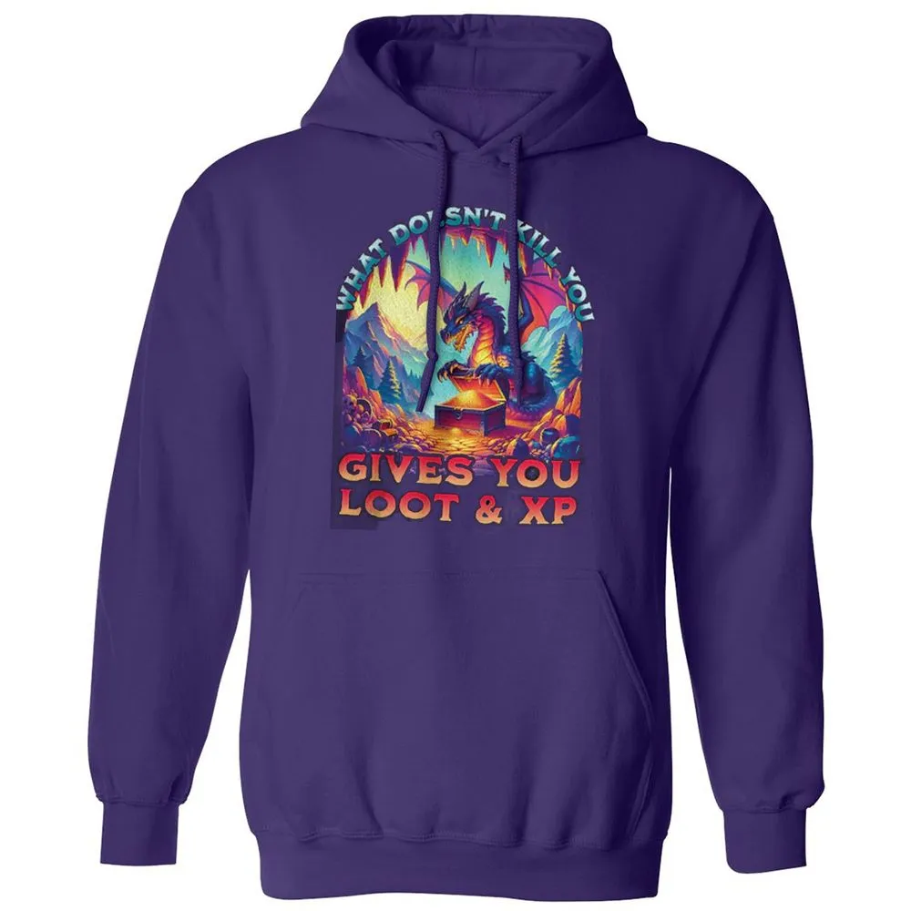 What Doesn't Kill You Give You Loot & XP Classic Unisex Hoodie - Purple - 6