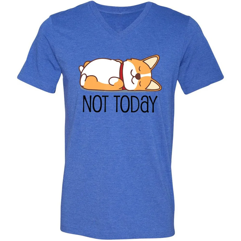 Unisex V-Neck T-Shirt - X984QRCB - Heather True Royal - 14
