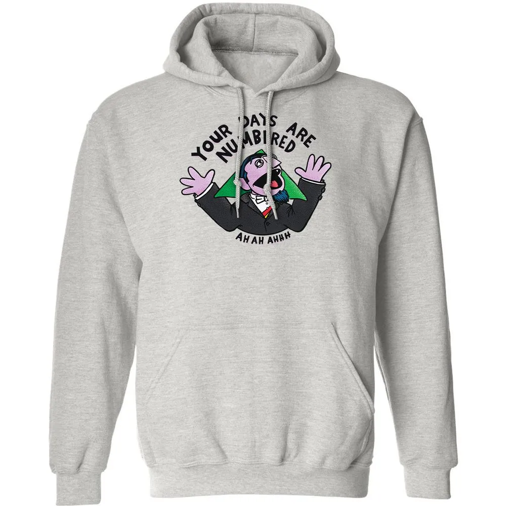 Classic Unisex Hoodie - WB6D4M6K - Ash - 2