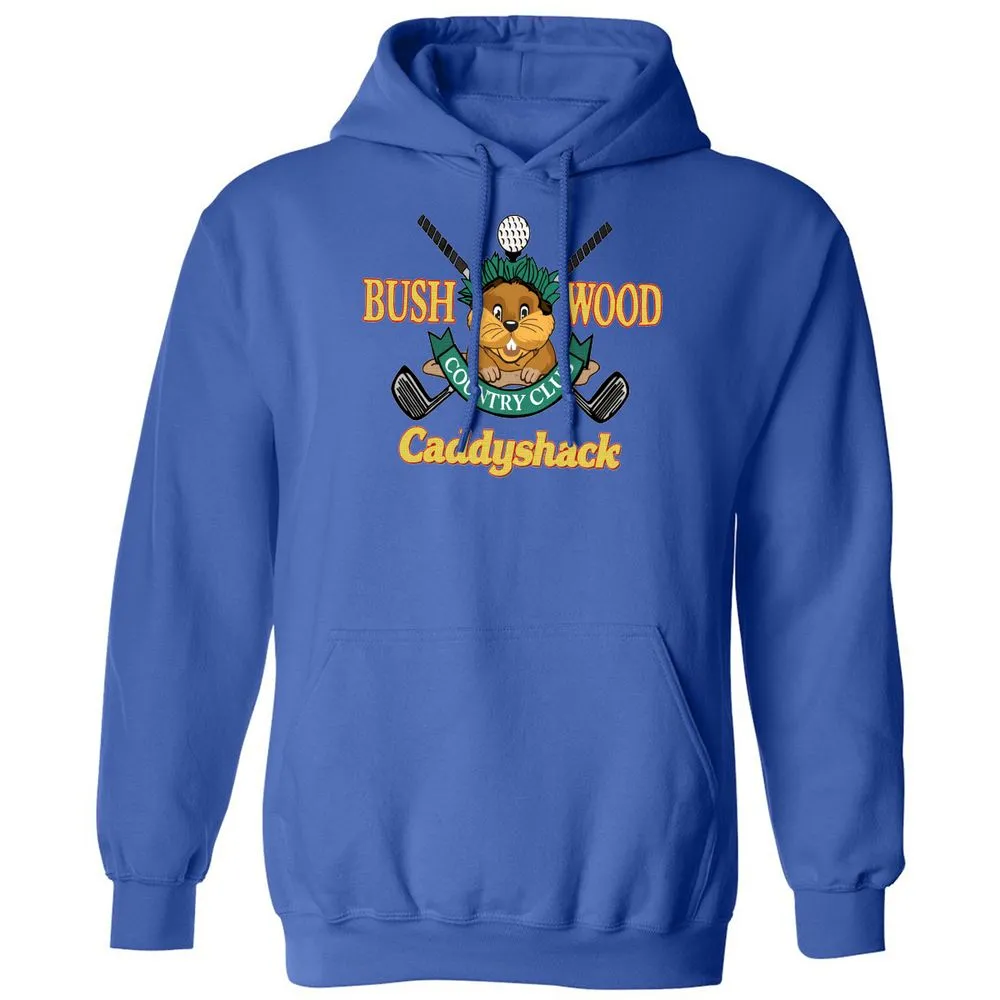 Classic Unisex Hoodie - DXEFYHX2 - Royal - 9