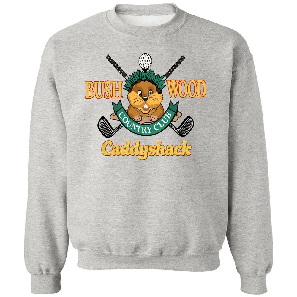 Classic Unisex Sweatshirt - C2K82B5W - Ash - 2