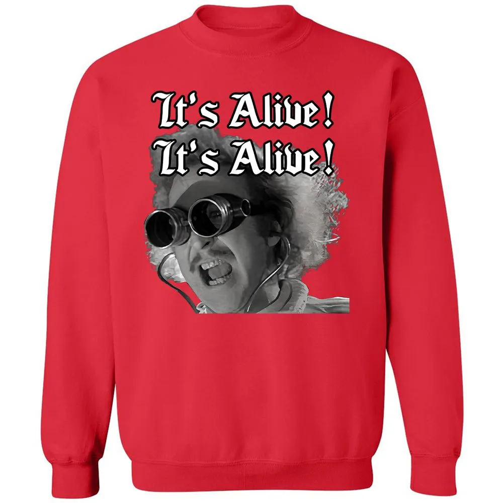Classic Unisex Sweatshirt - NMLBZM9N - Red - 5