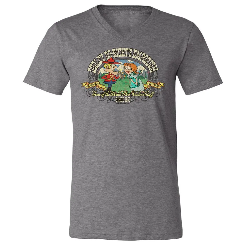 Unisex V-Neck T-Shirt - W5MJZJLQ - Deep Heather - 13
