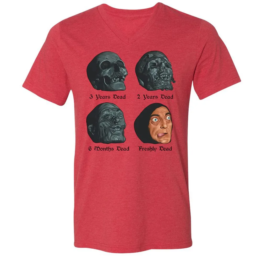 Unisex V-Neck T-Shirt - CAFY47VA - Heather Red - 5