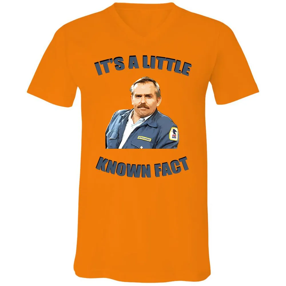 Unisex V-Neck T-Shirt - Y4Q4STCB - Orange - 11