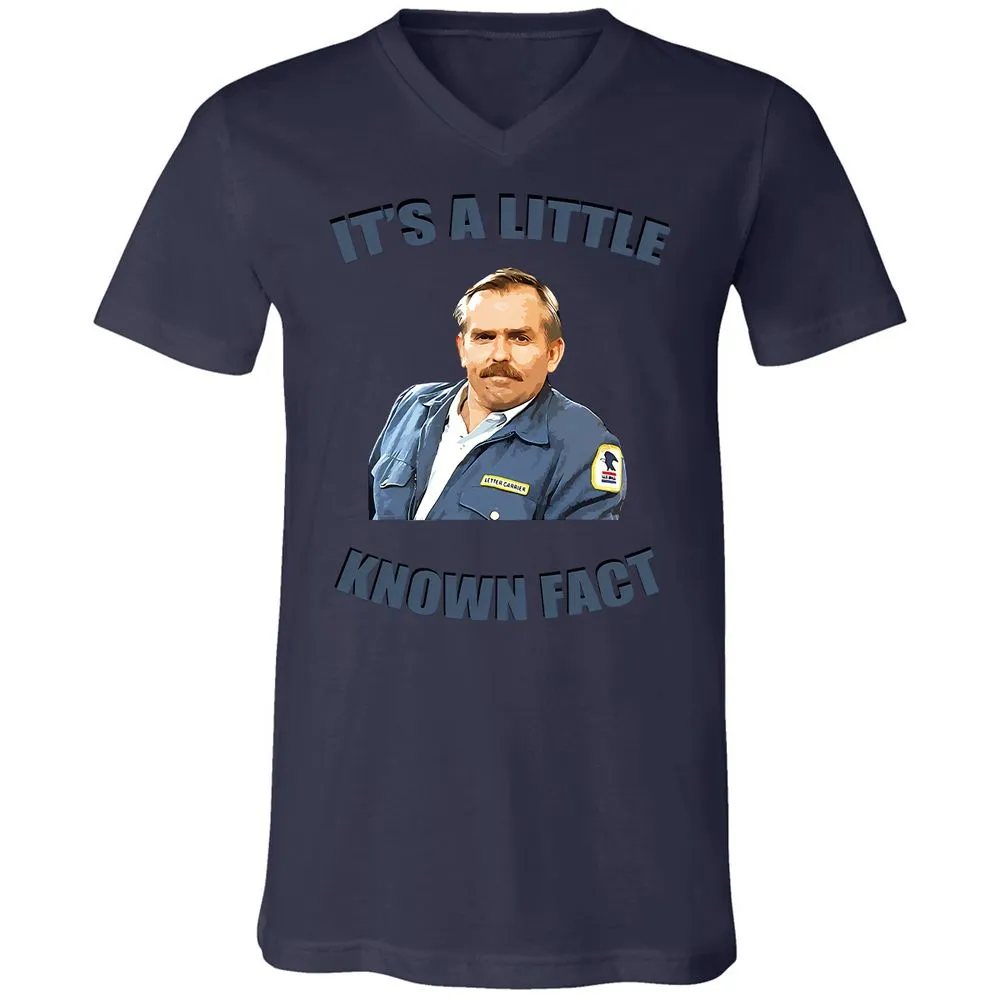 Unisex V-Neck T-Shirt - Y4Q4STCB - Navy - 9