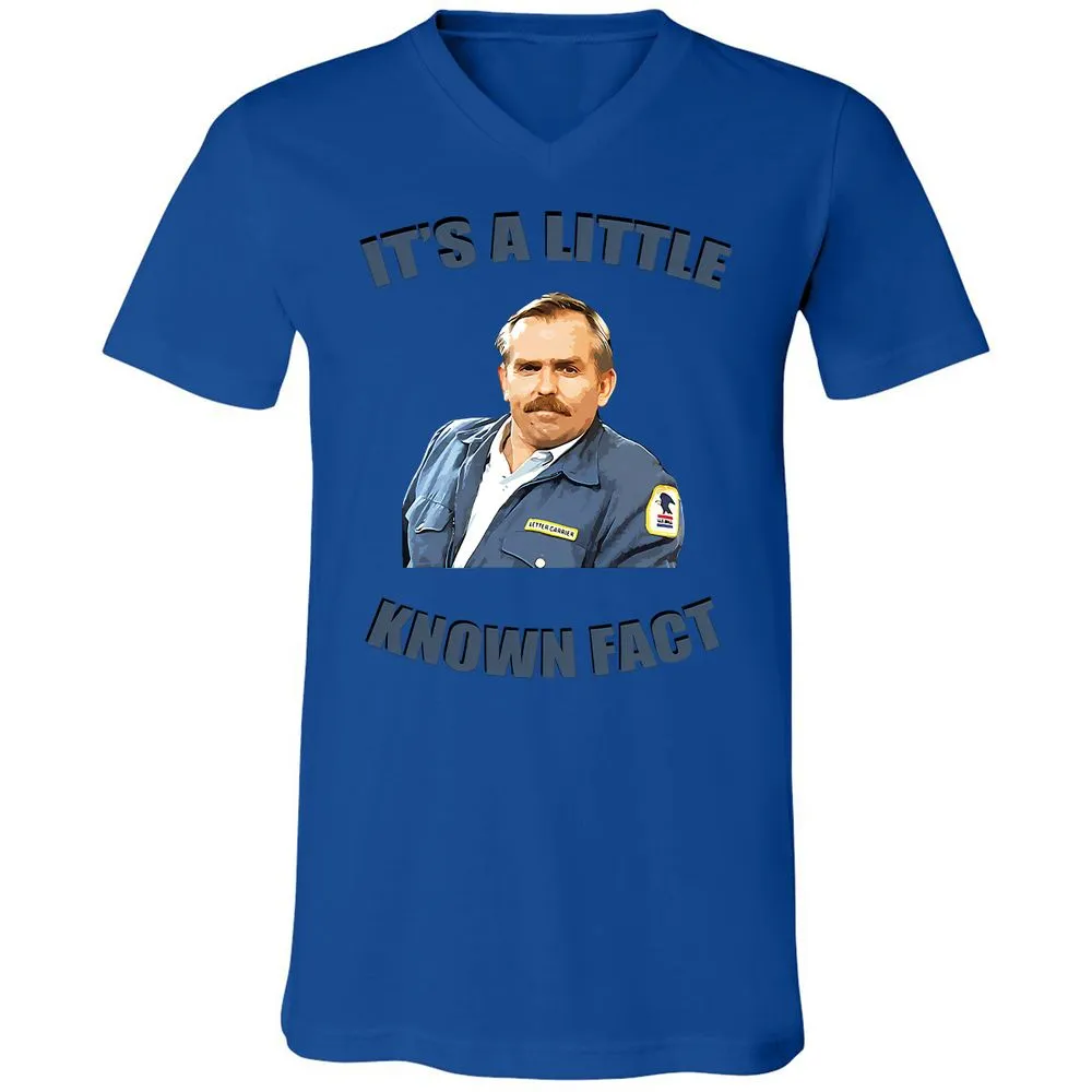 Unisex V-Neck T-Shirt - Y4Q4STCB - True Royal - 4