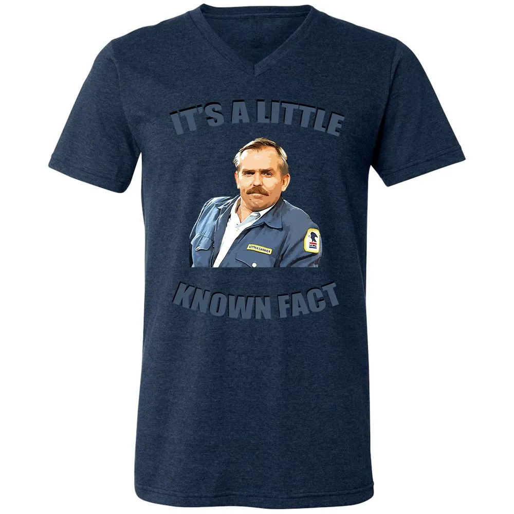 Unisex V-Neck T-Shirt - Y4Q4STCB - Heather Navy - 15