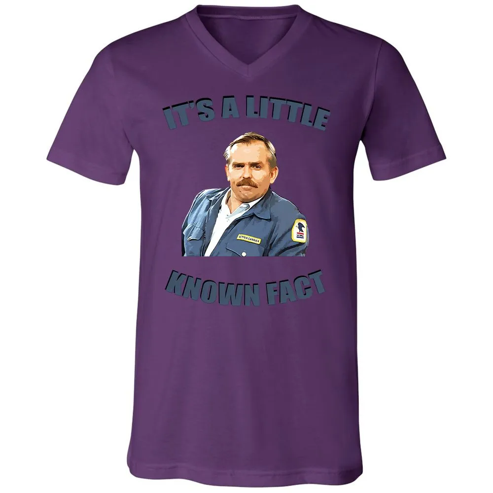 Unisex V-Neck T-Shirt - Y4Q4STCB - Team Purple - 2