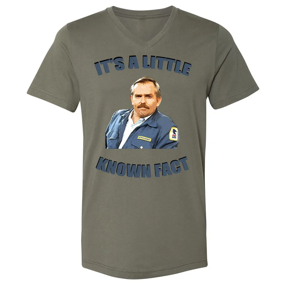 Unisex V-Neck T-Shirt - Y4Q4STCB - Military Green - 10