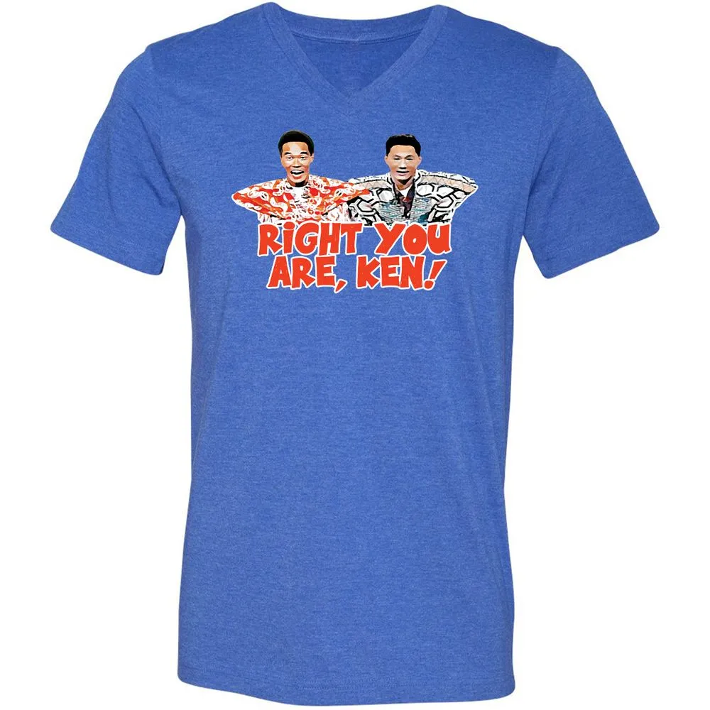 Unisex V-Neck T-Shirt - U2ZJXQJG - Heather True Royal - 14