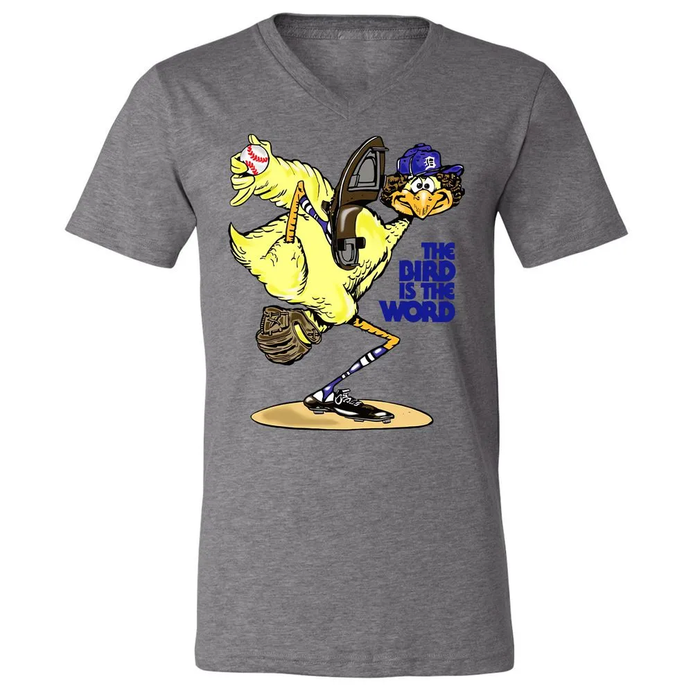Unisex V-Neck T-Shirt - J4L6C18M - Deep Heather - 13