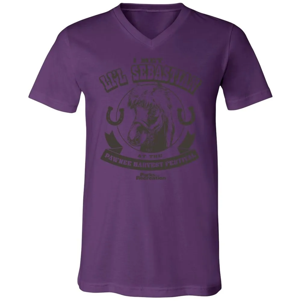 Unisex V-Neck T-Shirt - QMHL7322 - Team Purple - 2