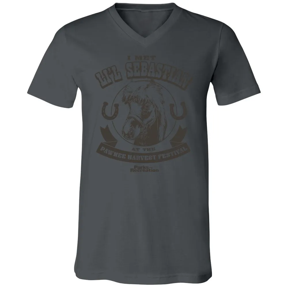 Unisex V-Neck T-Shirt - QMHL7322 - Asphalt - 12