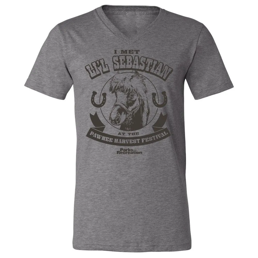 Unisex V-Neck T-Shirt - QMHL7322 - Deep Heather - 13