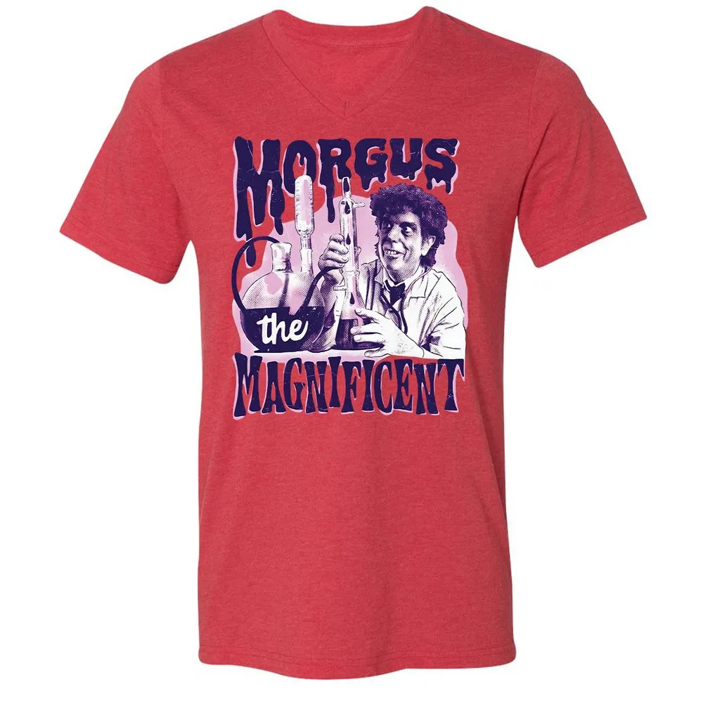 Unisex V-Neck T-Shirt - LPNAFFMB - Heather Red - 5