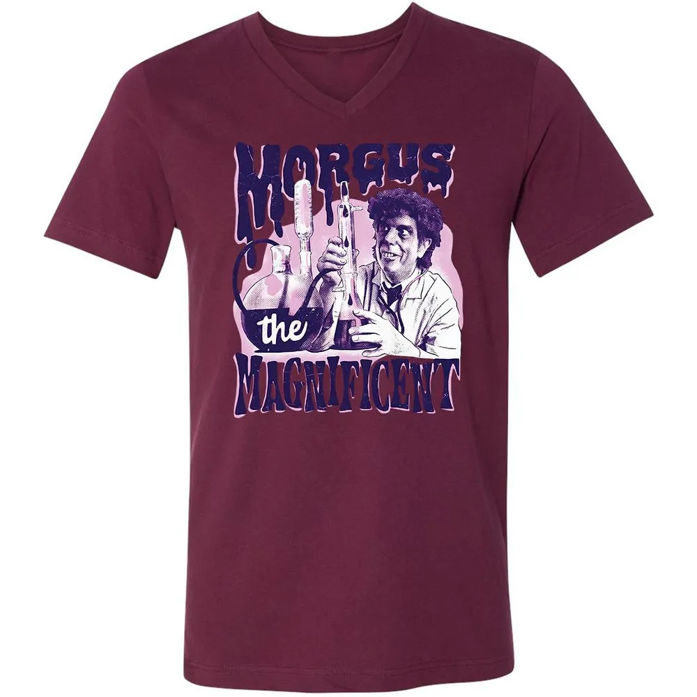 Unisex V-Neck T-Shirt - LPNAFFMB - Maroon - 6