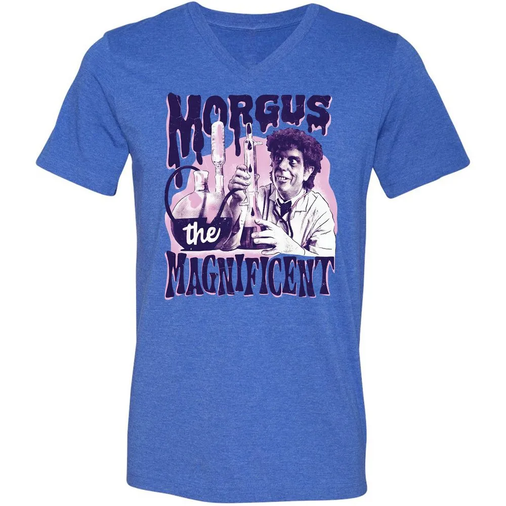 Unisex V-Neck T-Shirt - LPNAFFMB - Heather True Royal - 14