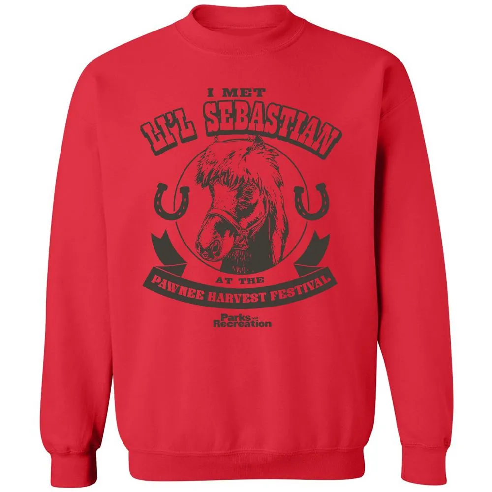 Classic Unisex Sweatshirt - B11YQVES - Red - 5
