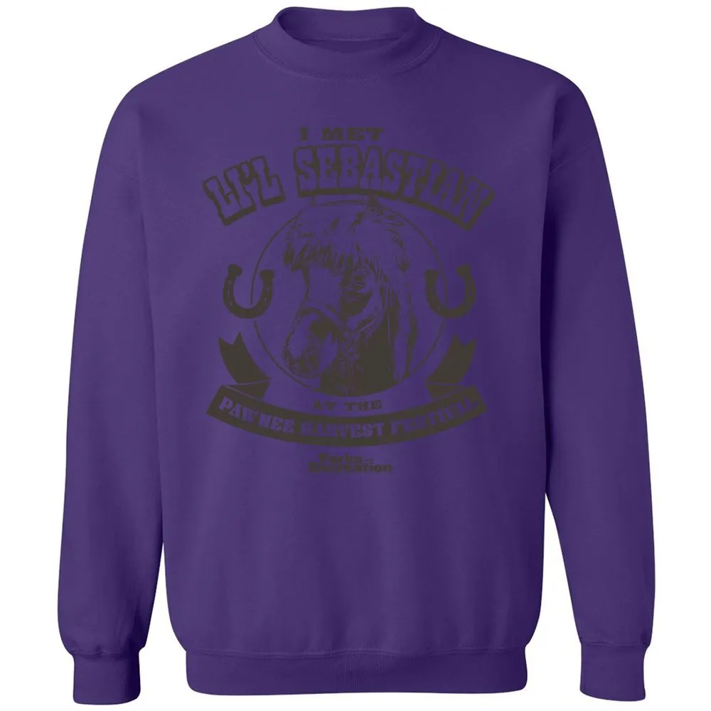 Classic Unisex Sweatshirt - B11YQVES - Purple - 6