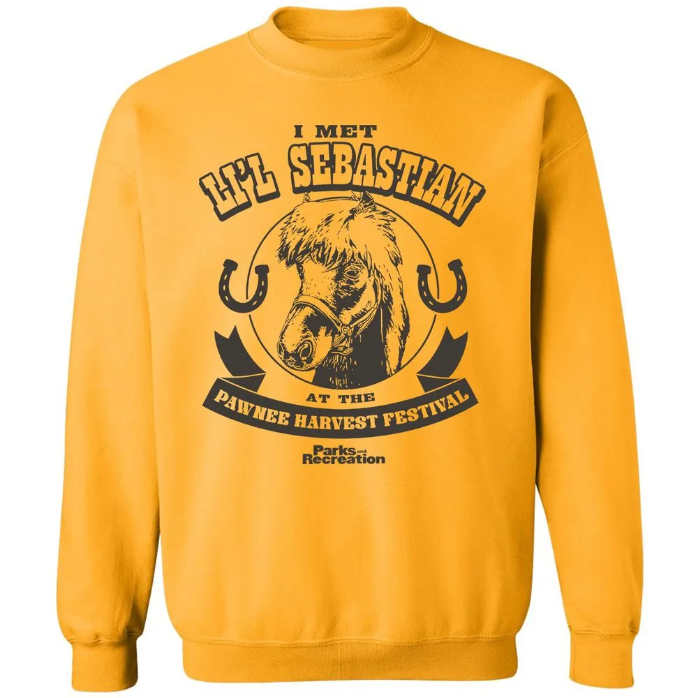 Classic Unisex Sweatshirt - B11YQVES - Gold - 11