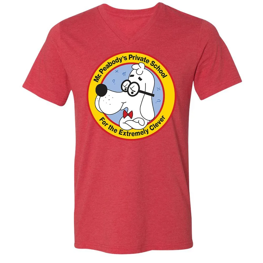 Unisex V-Neck T-Shirt - AHJYAQWW - Heather Red - 5