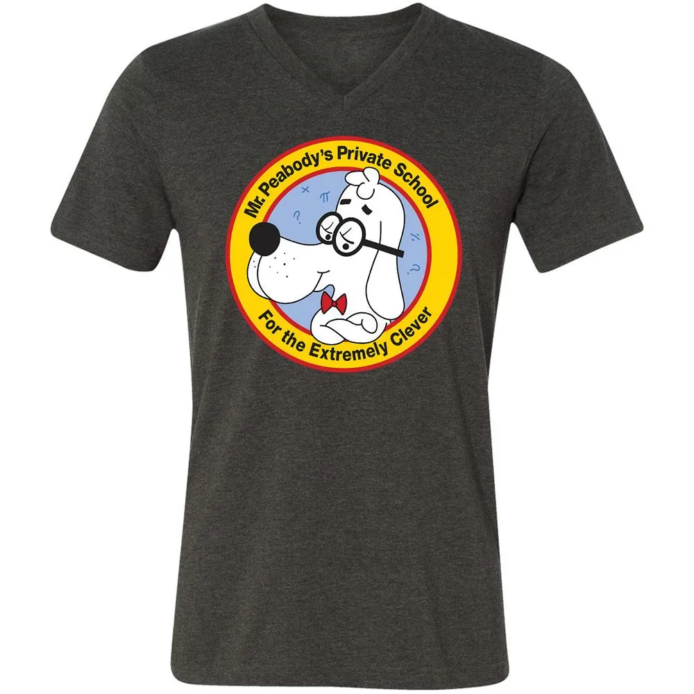 Unisex V-Neck T-Shirt - AHJYAQWW - Dark Grey Heather - 8