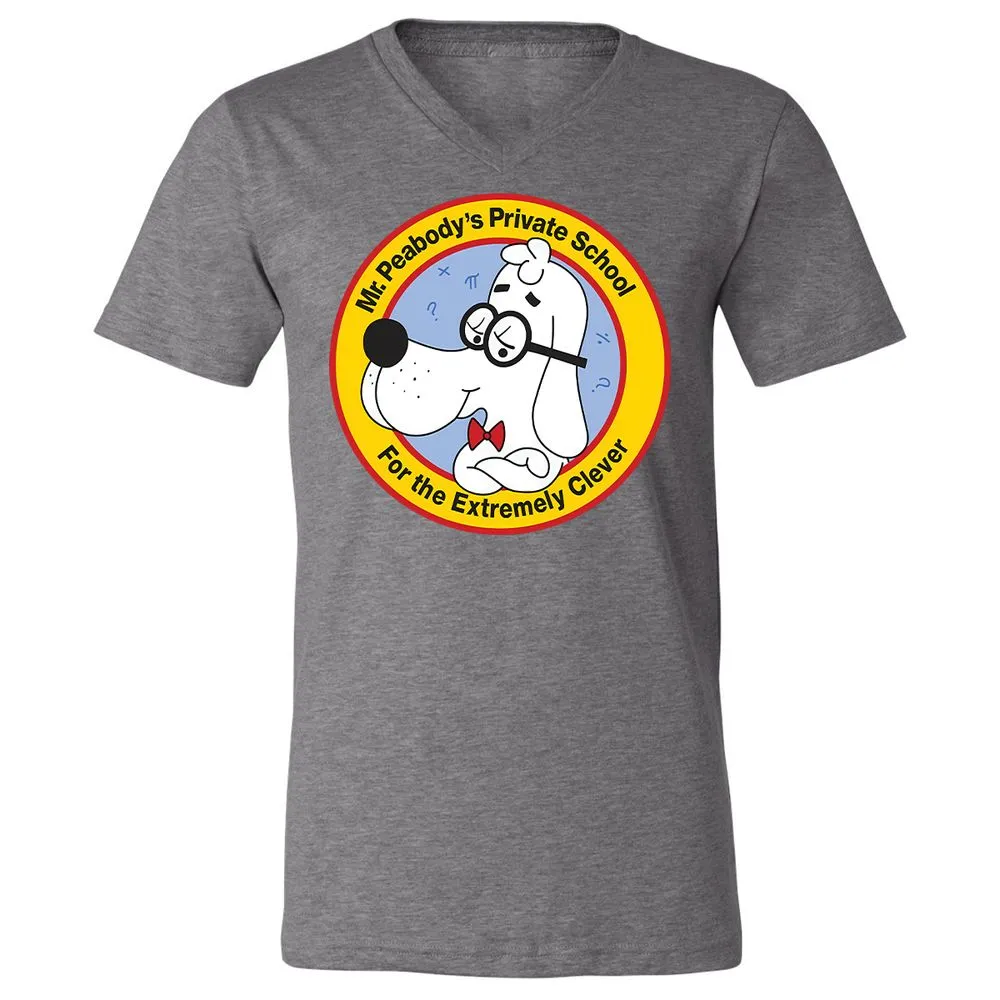 Unisex V-Neck T-Shirt - AHJYAQWW - Deep Heather - 13