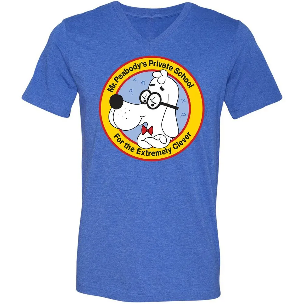 Unisex V-Neck T-Shirt - AHJYAQWW - Heather True Royal - 14