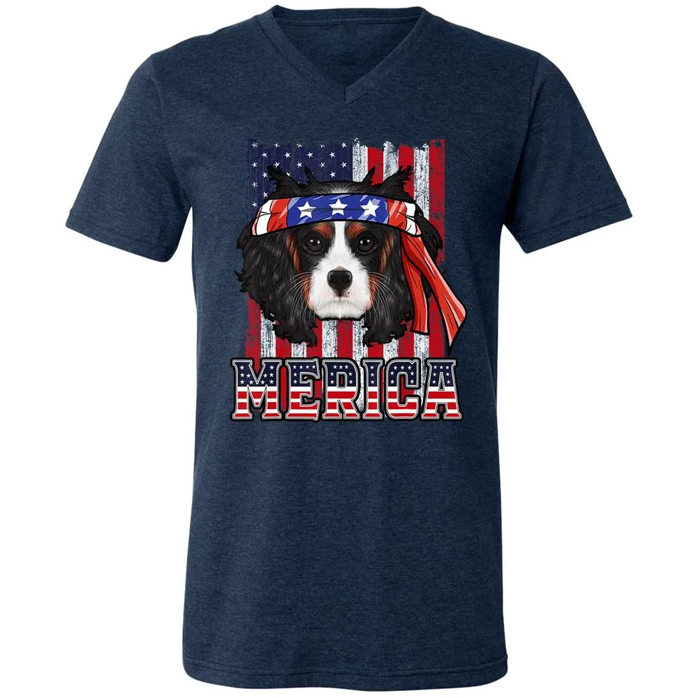 Unisex V-Neck T-Shirt - PRX98J7N - Heather Navy - 15