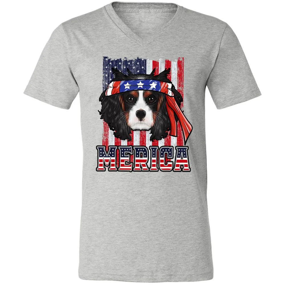 Unisex V-Neck T-Shirt - PRX98J7N - Athletic Heather - 7