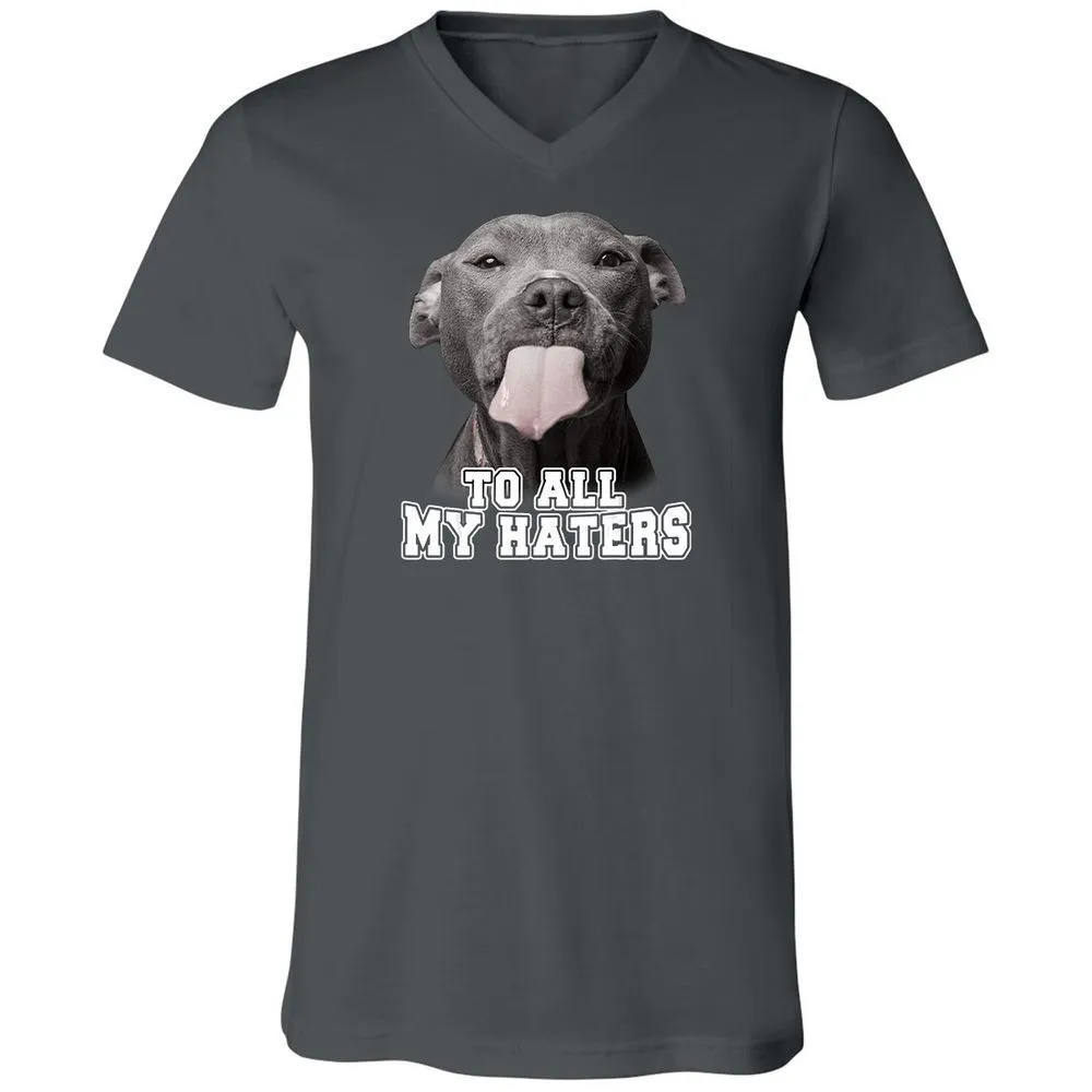 Unisex V-Neck T-Shirt - 3Z36GRAF - Asphalt - 12