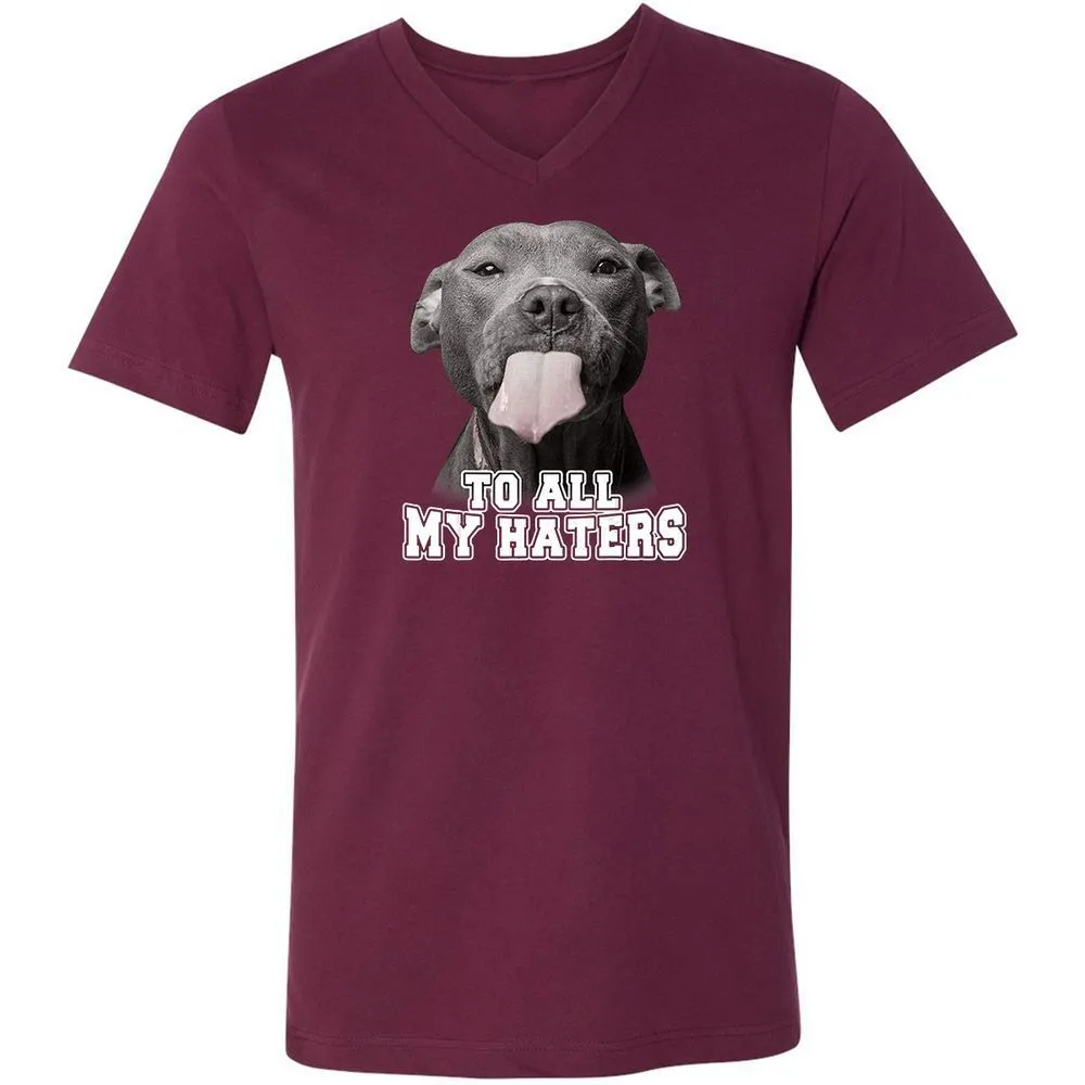 Unisex V-Neck T-Shirt - 3Z36GRAF - Maroon - 6