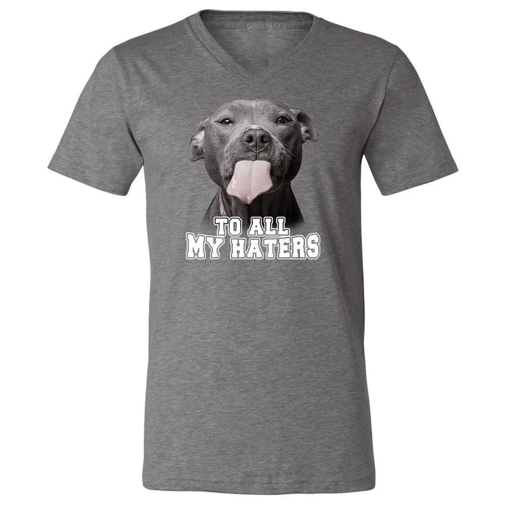 Unisex V-Neck T-Shirt - 3Z36GRAF - Deep Heather - 13