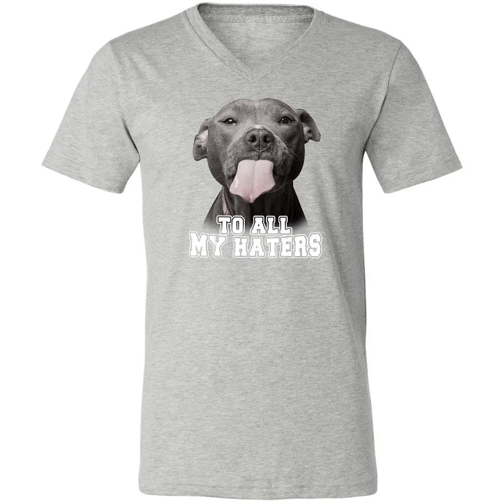 Unisex V-Neck T-Shirt - 3Z36GRAF - Athletic Heather - 7