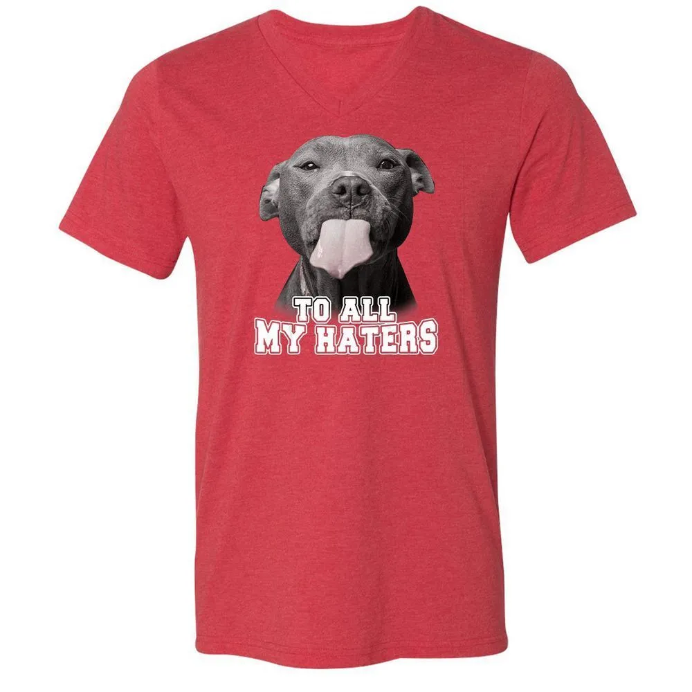 Unisex V-Neck T-Shirt - 3Z36GRAF - Heather Red - 16