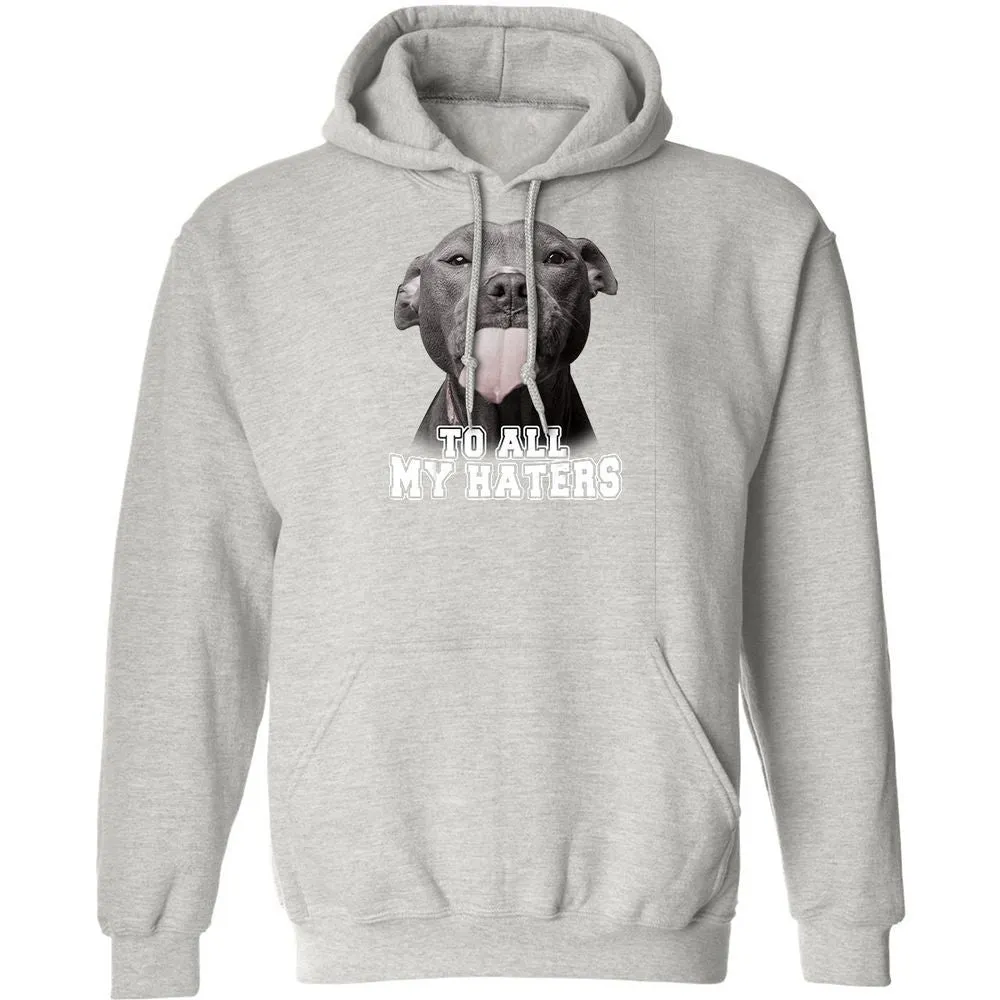 Classic Unisex Hoodie - GCNXTP9W - Ash - 8