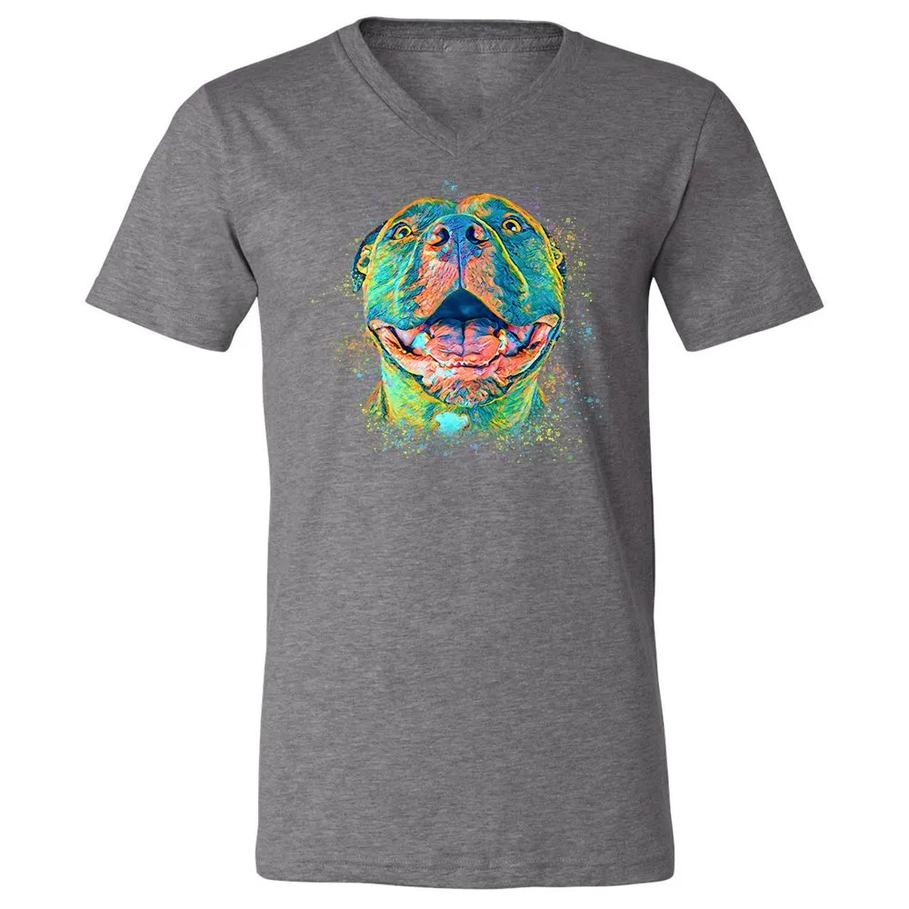 Unisex V-Neck T-Shirt - BVZ1ANJK - Deep Heather - 13