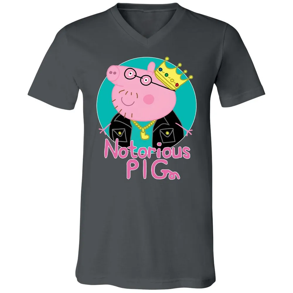 Unisex V-Neck T-Shirt - 2D3FEFPC - Asphalt - 12