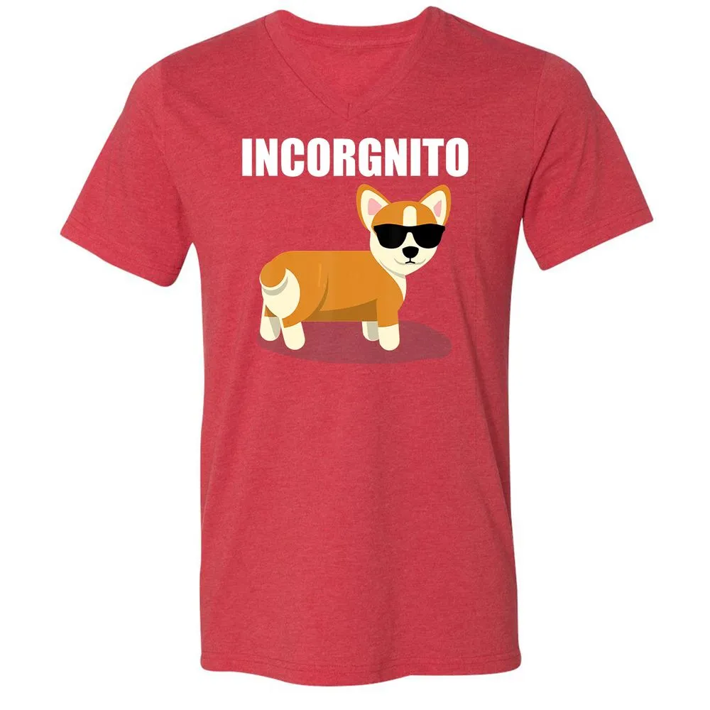 Unisex V-Neck T-Shirt - T2SNB3YT - Heather Red - 16