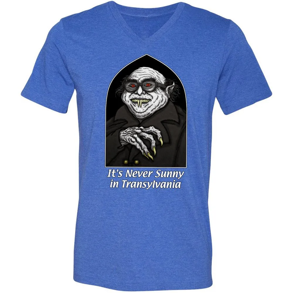 Unisex V-Neck T-Shirt - C1JWRPPX - Heather True Royal - 14