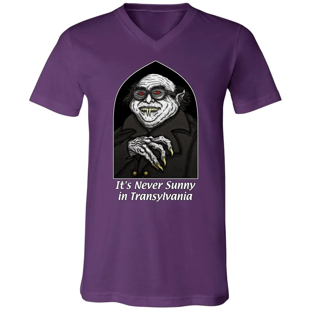 Unisex V-Neck T-Shirt - C1JWRPPX - Team Purple - 9