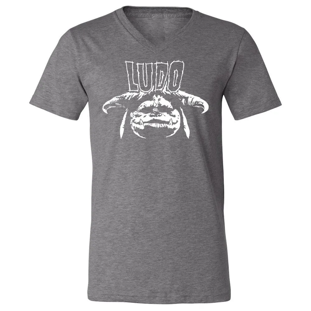 Unisex V-Neck T-Shirt - WY2V2PXT - Deep Heather - 13
