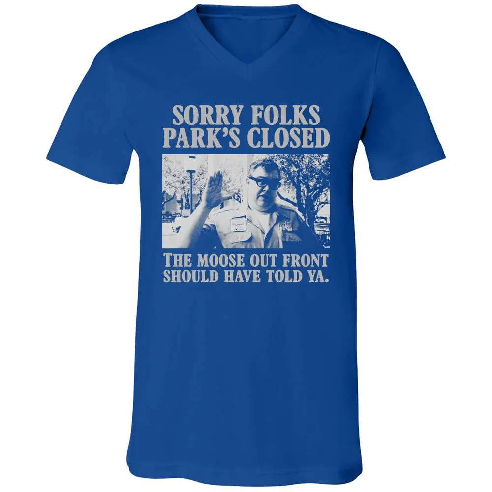 Unisex V-Neck T-Shirt - YQLHGB66 - True Royal - 4