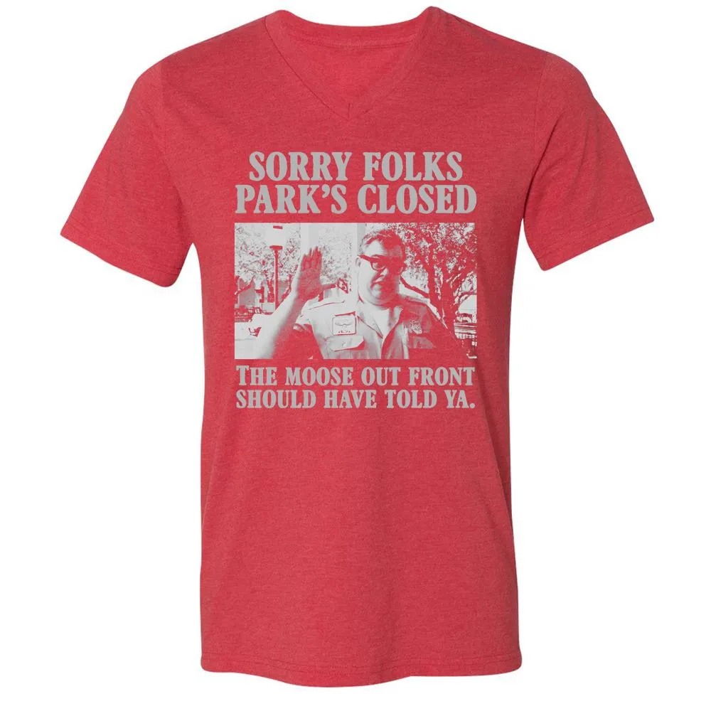 Unisex V-Neck T-Shirt - YQLHGB66 - Heather Red - 16