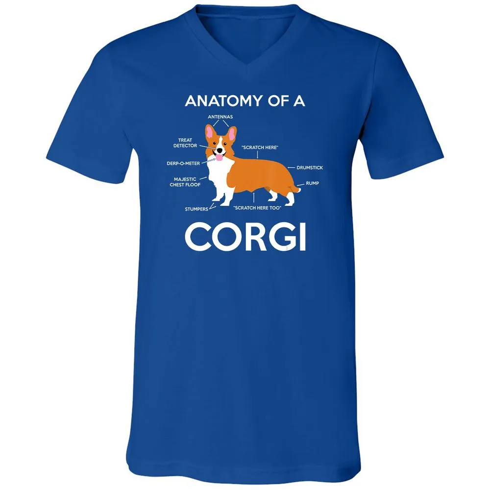 Unisex V-Neck T-Shirt - EY3G6V34 - True Royal - 4