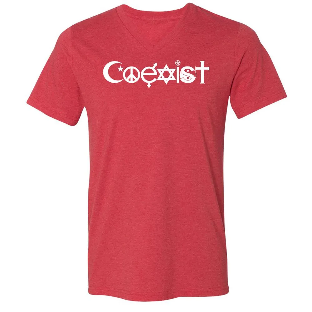 Unisex V-Neck T-Shirt - JYPD81KW - Heather Red - 16