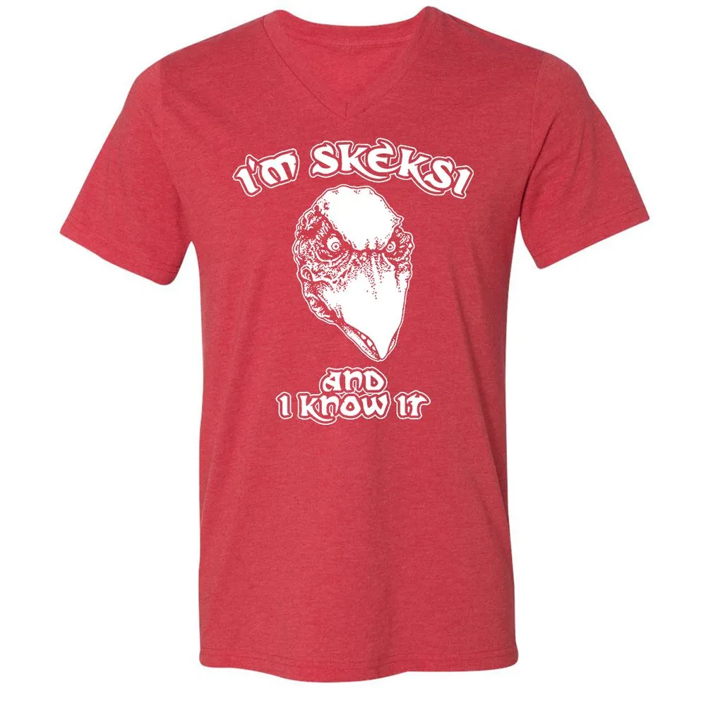 Unisex V-Neck T-Shirt - AGCXZ1HQ - Heather Red - 16