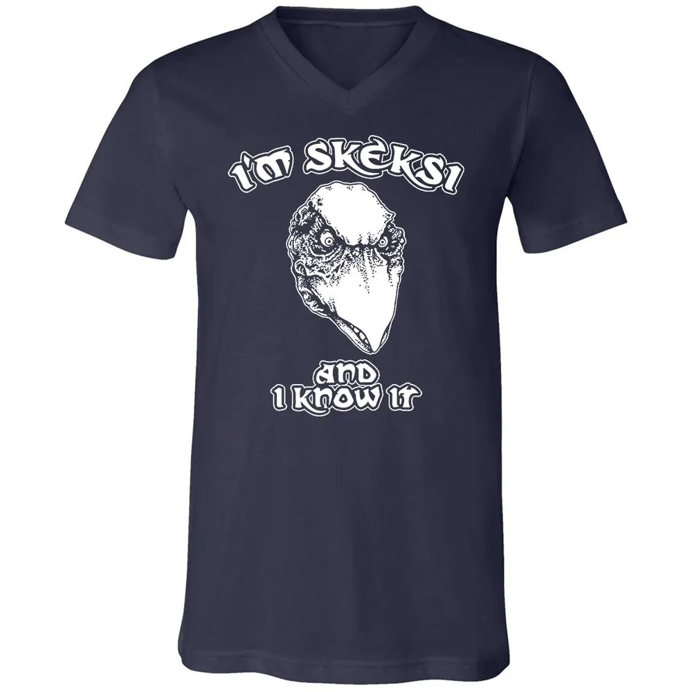 Unisex V-Neck T-Shirt - AGCXZ1HQ - Navy - 2
