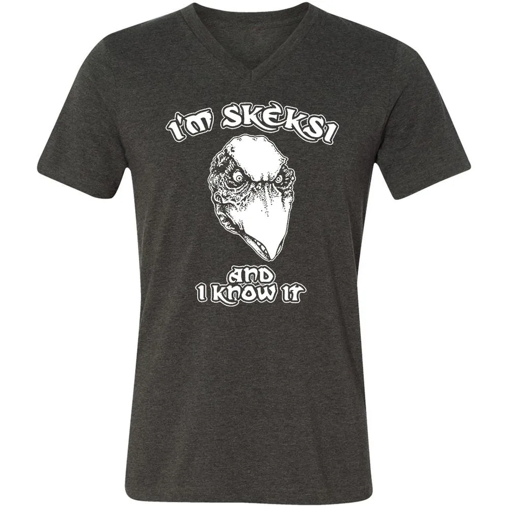 Unisex V-Neck T-Shirt - AGCXZ1HQ - Dark Grey Heather - 8